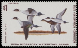 Picture of 1973 Iowa Duck Stamp