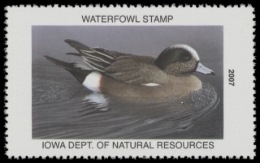 Picture of 2007 Iowa Duck Stamp