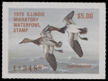 Picture of 1978 Illinois Duck Stamp