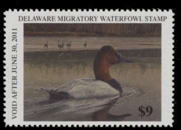 Picture of 2010 Delaware Duck Stamp