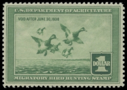 Picture of RW4 1937 Duck Stamp MNH