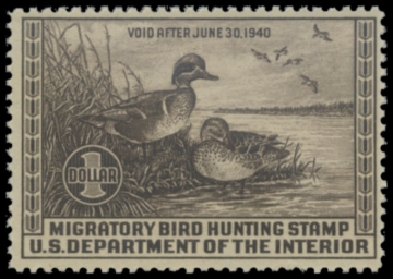 Picture of RW6 1939 Duck Stamp MNH 