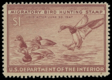 Picture of RW13 1946 Duck Stamp. Unsigned