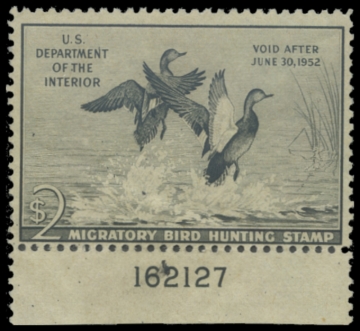 Picture of RW18 1951 Duck Stamp. MLH