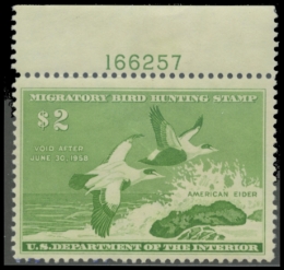 Picture of RW24 1957 Duck Stamp. MLH