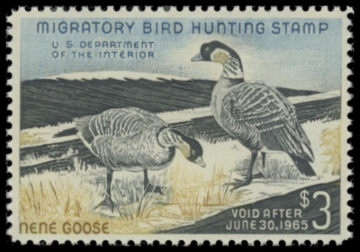 Picture of RW31 1964 Duck Stamp. MLH. F-VF 