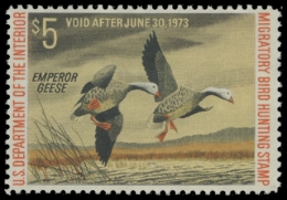 Picture of RW39 1972 Duck Stamp. MLH.  F-VF 