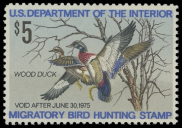 Picture of RW41 1974 Duck Stamp. MNH F-VF
