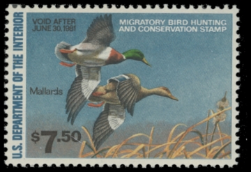 Picture of RW47 1980 Duck Stamp. MNH. F-VF