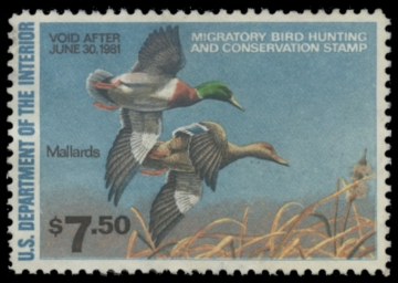 Picture of RW47 1980 Duck Stamp. Unsigned. F-VF 