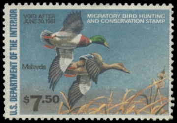 Picture of RW47 1980 Duck Stamp. Unsigned. F-VF 