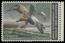 Picture of RW49 1982 Duck Stamp. MLH. F-VF 