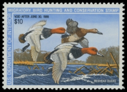 Picture of RW54 1987 Duck Stamp. MNH. VF 