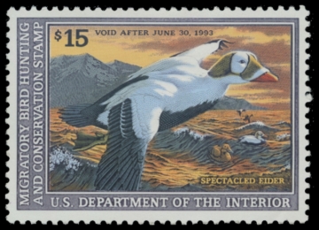 Picture of RW59 1992 Duck Stamp. MLH. VF