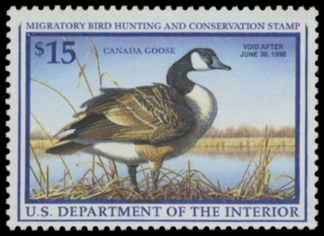 Picture of RW64 1997 Duck Stamp. MLH. VF 