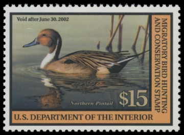 Picture of RW68 2001 Duck Stamp. MNH VF