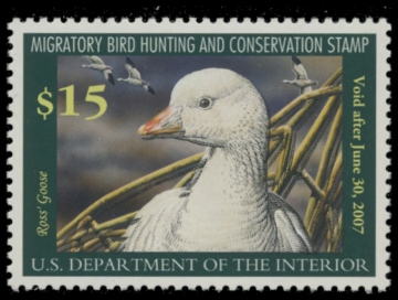 Picture of RW73 2006 Duck Stamp  MNH XF