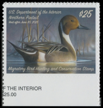 Picture of RW91 2024 Duck Stamp