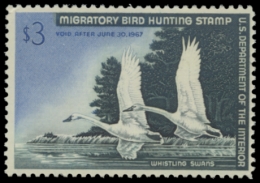 Picture of RW33 1966 Duck Stamp. MNH