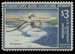 Picture of RW34 1967 Duck Stamp. MNH