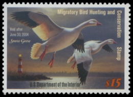 Picture of RW70 2003 Duck Stamp. MNH