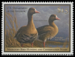 Picture of RW78 2011 Duck Stamp. MNH