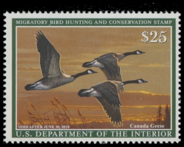 Picture of RW84 2017 Duck Stamp 