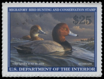 Picture of RW89 2022 Duck Stamp