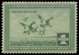 Picture of RW4 1937 Duck Stamp. MNH