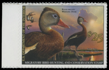 Picture of RW87 2020 Duck Stamp 