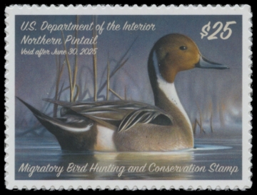 Picture of RW91 2024 Duck Stamp