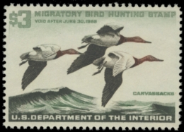 Picture of RW32 1963 Duck Stamp. MNH
