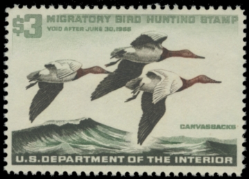 Picture of RW32 1965 Duck Stamp. MNH