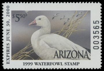 Picture of 1999 Arizona Duck Stamp