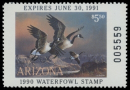 Picture of 1990 Arizona Duck Stamp