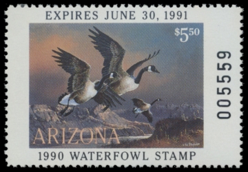 Picture of 1990 Arizona Duck Stamp