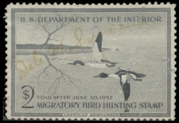 Picture of RW23 1956 Duck Stamp. Used