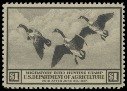 Picture of RW3 1936 MNH F-VF