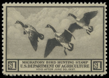 Picture of RW3 1936 MNH F-VF