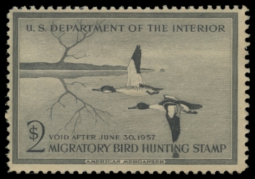 Picture of RW23 1956 Duck Stamp. Unsigned