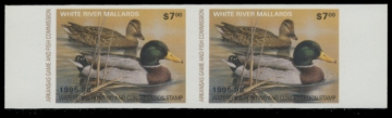 Picture of 1995 Arkansas Duck Stamp