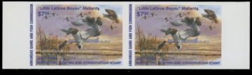 Picture of 2007 Arkansas Duck Stamp