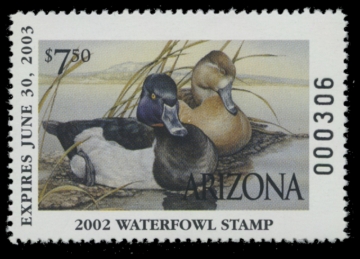 Picture of 2002 Arizona Duck Stamp