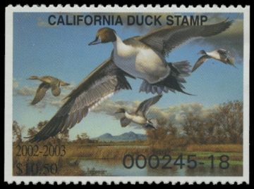 Picture of 2002 California Duck Stamp