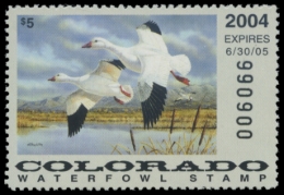 Picture of 2004 Colorado Duck Stamp