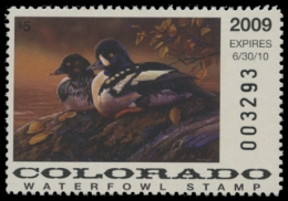 Picture of 2009 Colorado Duck Stamp