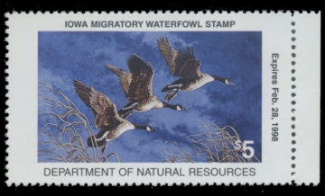 Picture of 1997 Iowa Duck Stamp