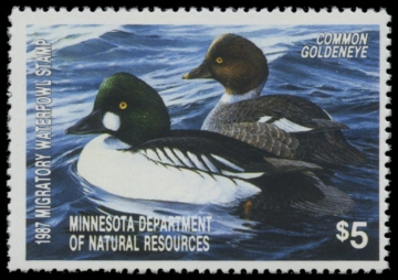Picture of 1987 Minnesota Duck Stamp