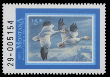 Picture of 1991 Montana Duck Stamp