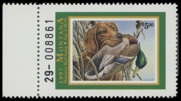Picture of 1997 Montana Duck Stamp